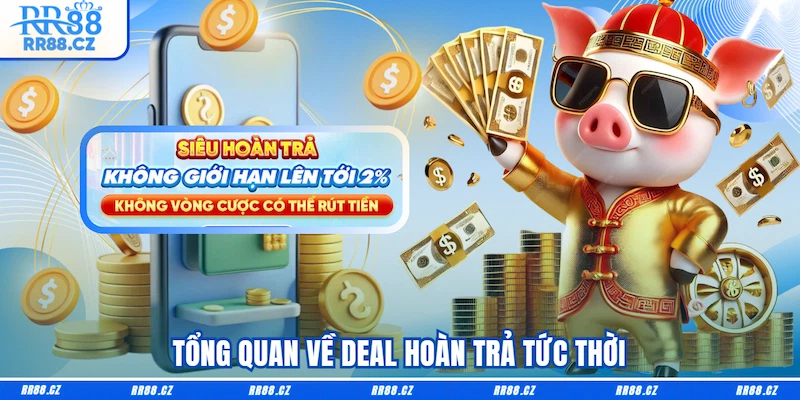 Tổng quan về deal Hoàn trả tức thời